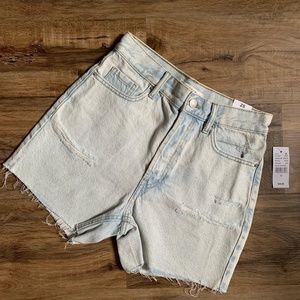 NWT PacSun 90s girlfriend shorts Size 25